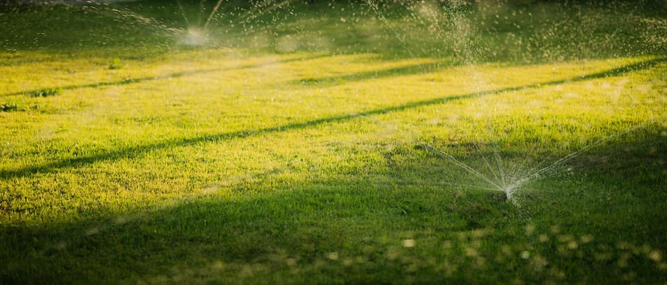 A sprinkler spraying water across a green lawn in low golden sunlight.