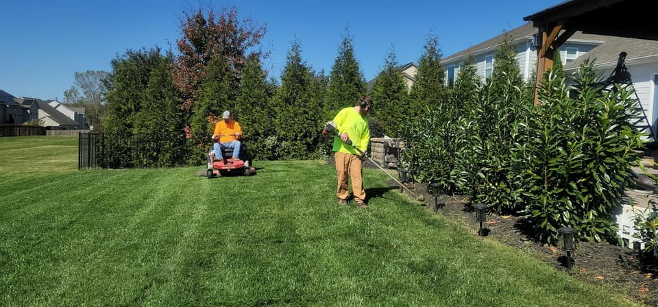 Two landscapers mowing and trimming a wide striped lawn beside a row of evergreens.